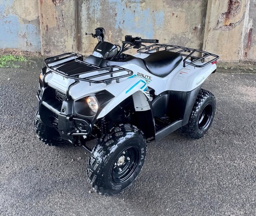 2022 Kawasaki Brute Force 300 - Image 1